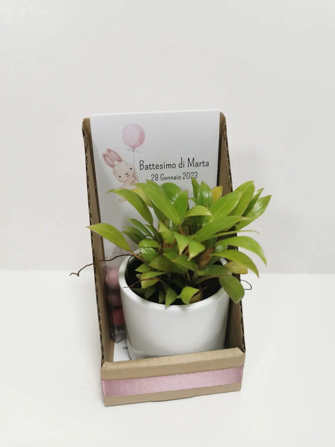 IMG_20230127_085938 (1)