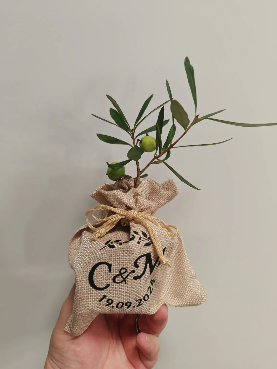 IMG_20240919_103746 (1)